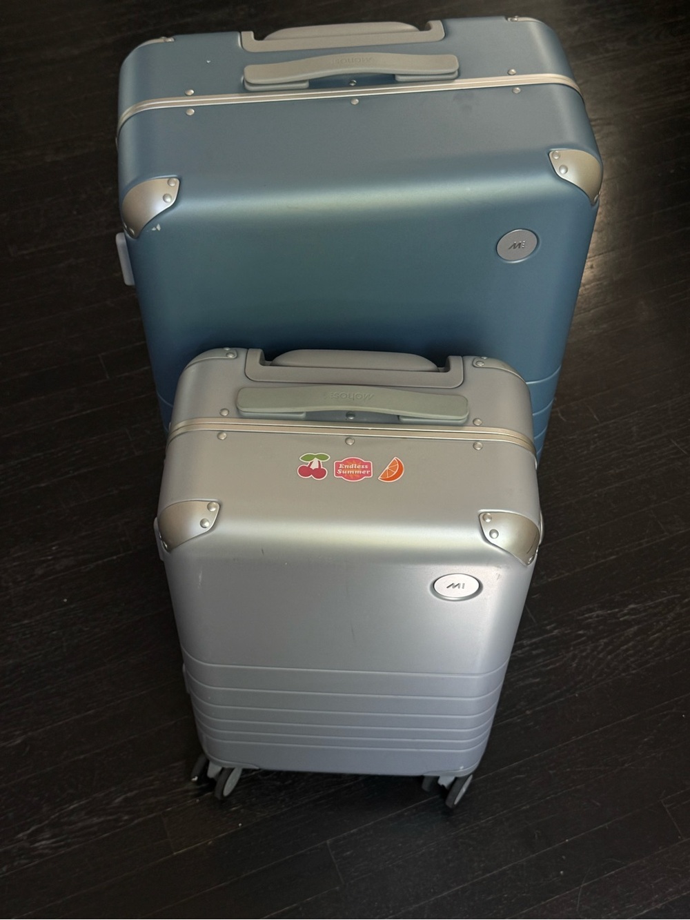 Monos medium suitcase and carry on